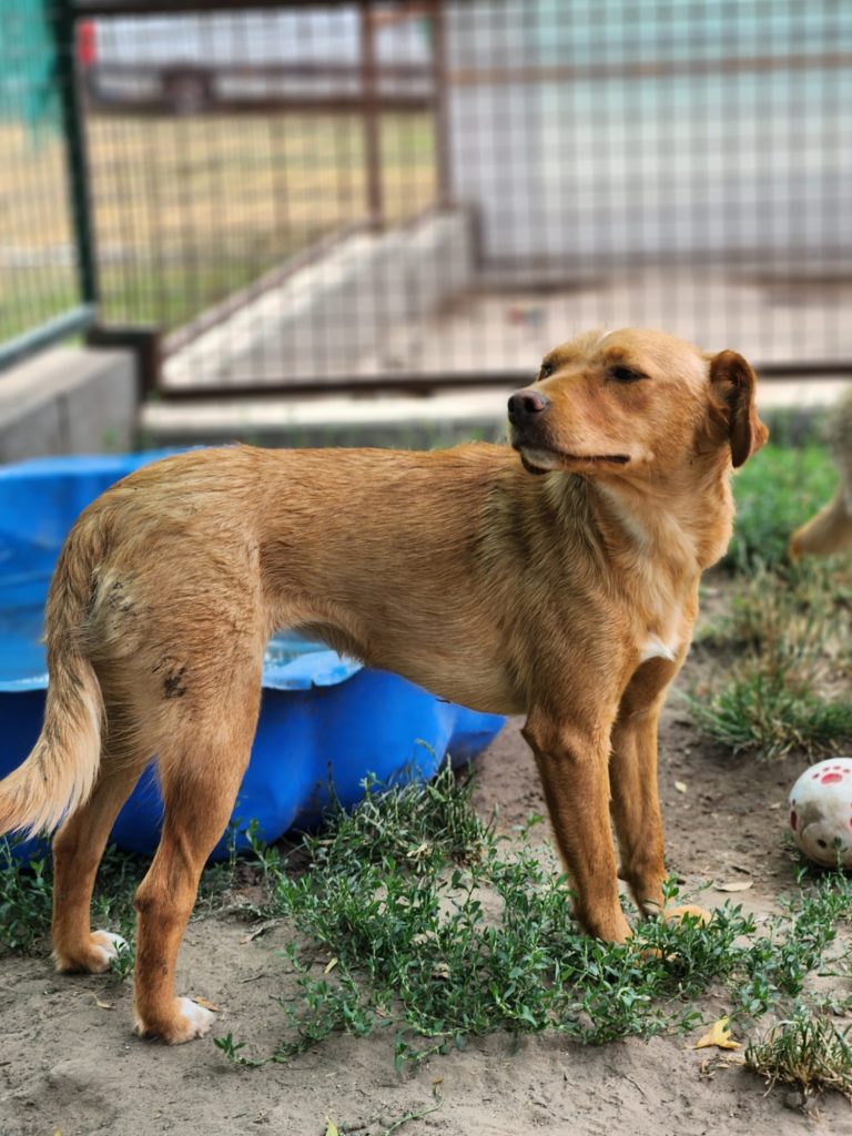 lili_5kep